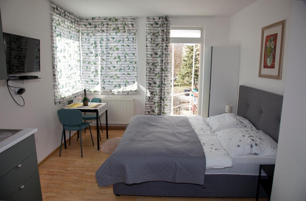 Apartman U Doktora Banská Bystrica Exterior foto